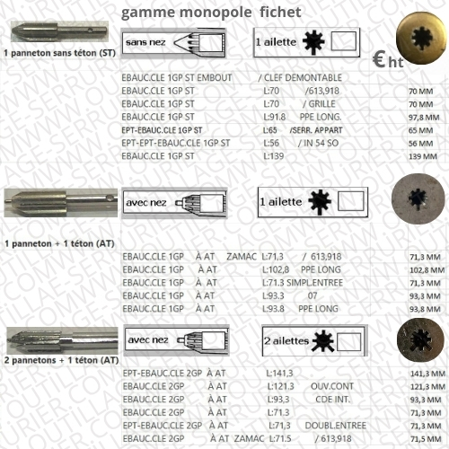 ebauche de clef Fichet Bauche MONOPOLE à tailler – Image 4