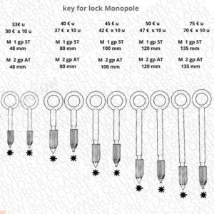 ebauche de clef Fichet Bauche MONOPOLE à tailler