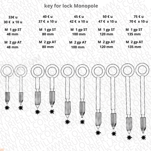 ebauche de clef Fichet Bauche MONOPOLE à tailler